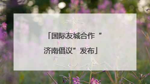 国际友城合作“济南倡议”发布