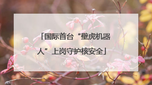 国际首台“壁虎机器人”上岗守护核安全