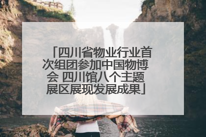 四川省物业行业首次组团参加中国物博会 四川馆八个主题展区展现发展成果