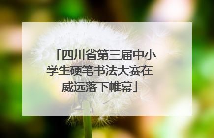 四川省第三届中小学生硬笔书法大赛在威远落下帷幕