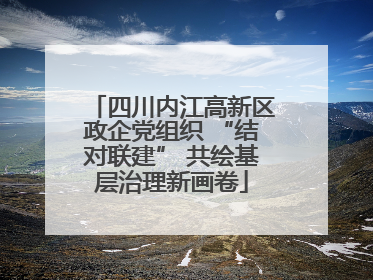 四川内江高新区政企党组织 “结对联建” 共绘基层治理新画卷