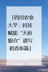 四川农业大学：科技赋能“天府粮仓”谱写稻香新篇