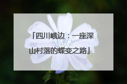 四川峨边：一座深山村落的蝶变之路