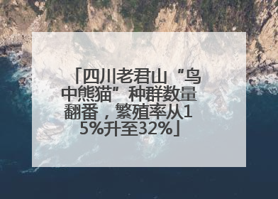 四川老君山“鸟中熊猫”种群数量翻番，繁殖率从15%升至32%