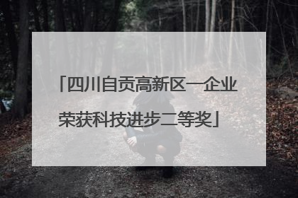 四川自贡高新区一企业荣获科技进步二等奖
