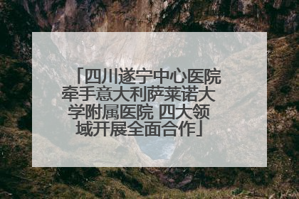 四川遂宁中心医院牵手意大利萨莱诺大学附属医院 四大领域开展全面合作
