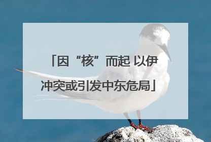 因“核”而起 以伊冲突或引发中东危局