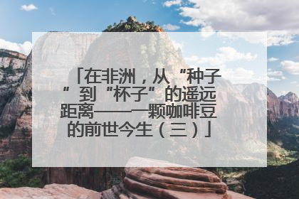 在非洲，从“种子”到“杯子”的遥远距离——一颗咖啡豆的前世今生（三）