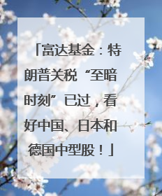 富达基金：特朗普关税“至暗时刻”已过，看好中国、日本和德国中型股！