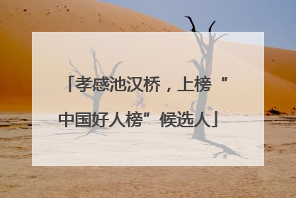 孝感池汉桥，上榜“中国好人榜”候选人