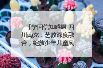 学回信知感恩 四川南充：艺教深度融合，绽放少年儿童风采｜您牵挂的四川