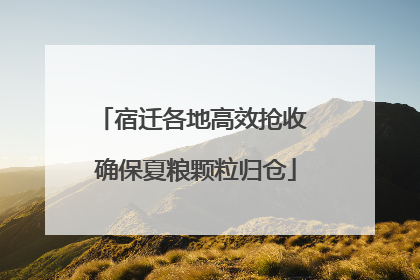 宿迁各地高效抢收 确保夏粮颗粒归仓