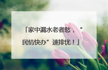 家中漏水老者愁，“民情快办”速排忧！