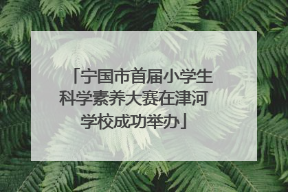 宁国市首届小学生科学素养大赛在津河学校成功举办