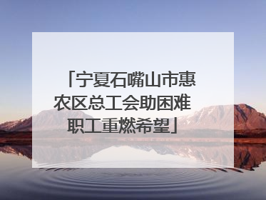 宁夏石嘴山市惠农区总工会助困难职工重燃希望
