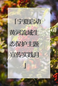 宁夏启动黄河流域生态保护主题宣传实践月
