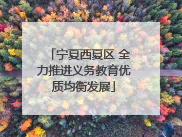宁夏西夏区 全力推进义务教育优质均衡发展