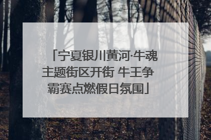 宁夏银川黄河·牛魂主题街区开街 牛王争霸赛点燃假日氛围