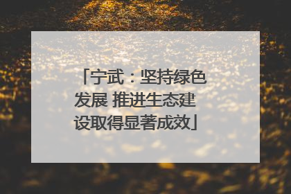 宁武：坚持绿色发展 推进生态建设取得显著成效