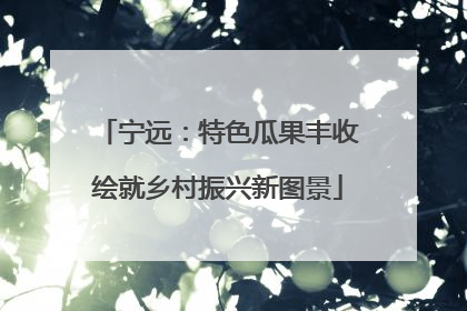 宁远：特色瓜果丰收绘就乡村振兴新图景