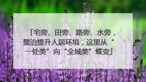 宅旁、田旁、路旁、水旁，整治提升人居环境，这里从“一处美”向“全域美”蝶变
