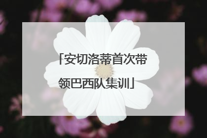 安切洛蒂首次带领巴西队集训