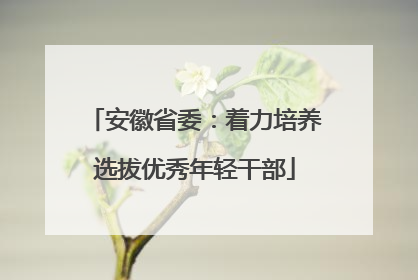 安徽省委：着力培养选拔优秀年轻干部