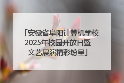 安徽省阜阳计算机学校2025年校园开放日暨文艺展演精彩纷呈
