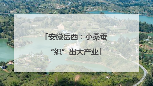 安徽岳西：小桑蚕“织”出大产业