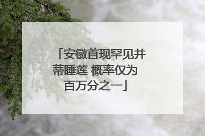 安徽首现罕见并蒂睡莲 概率仅为百万分之一
