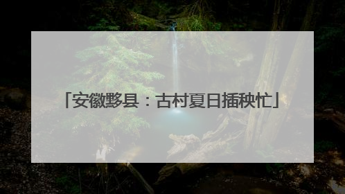 安徽黟县：古村夏日插秧忙