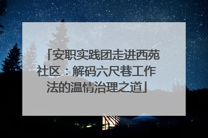 安职实践团走进西苑社区：解码六尺巷工作法的温情治理之道