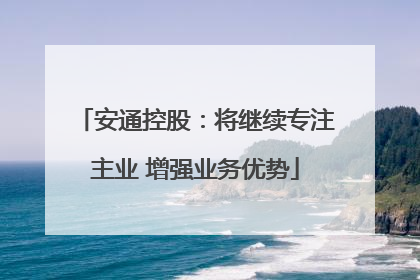 安通控股：将继续专注主业 增强业务优势