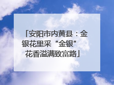 安阳市内黄县：金银花里采“金银” 花香溢满致富路