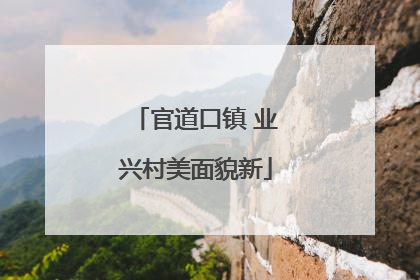 官道口镇 业兴村美面貌新