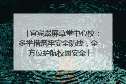 宜宾翠屏草堂中心校：多举措筑牢安全防线，全方位护航校园安全