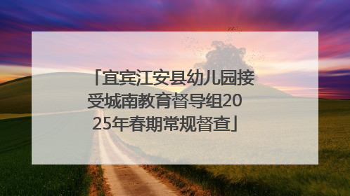 宜宾江安县幼儿园接受城南教育督导组2025年春期常规督查