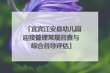 宜宾江安县幼儿园迎接管理常规督查与综合督导评估