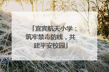宜宾航天小学：筑牢禁毒防线，共建平安校园