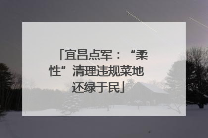 宜昌点军：“柔性”清理违规菜地 还绿于民