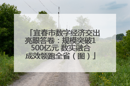 宜春市数字经济交出亮眼答卷：规模突破1500亿元 数实融合成效领跑全省（图）