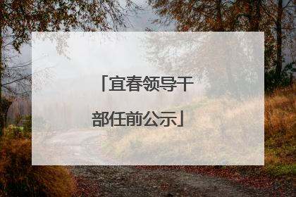 宜春领导干部任前公示