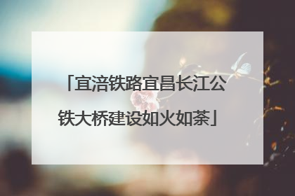 宜涪铁路宜昌长江公铁大桥建设如火如荼