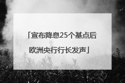 宣布降息25个基点后 欧洲央行行长发声