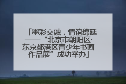 墨彩交融，情谊绵延——“北京市朝阳区·东京都港区青少年书画作品展”成功举办