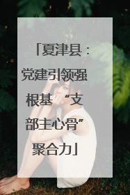 夏津县：党建引领强根基 “支部主心骨”聚合力