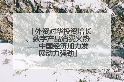 外资对华投资增长、数字产品消费火热……中国经济加力发展动力强劲