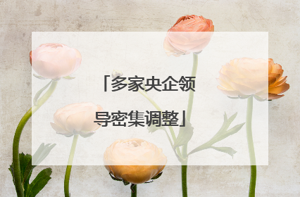 多家央企领导密集调整