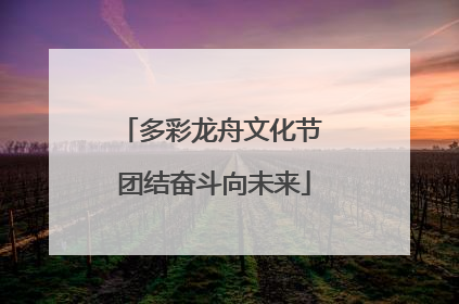 多彩龙舟文化节 团结奋斗向未来