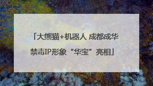 大熊猫+机器人 成都成华禁毒IP形象“华宝”亮相
